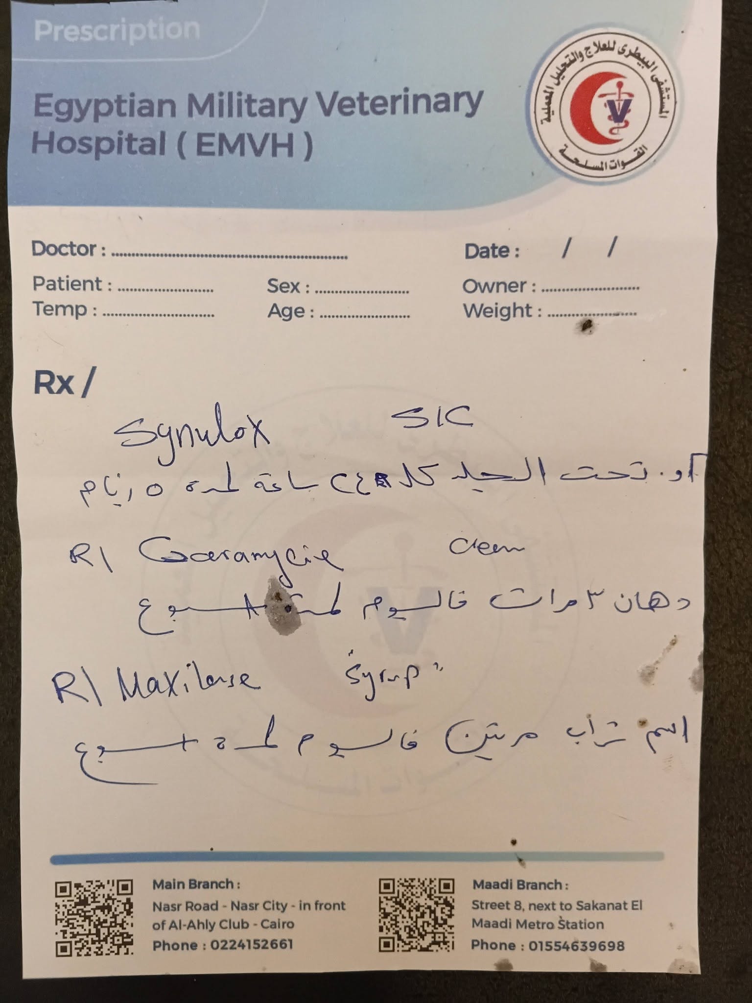 روشتة القطة