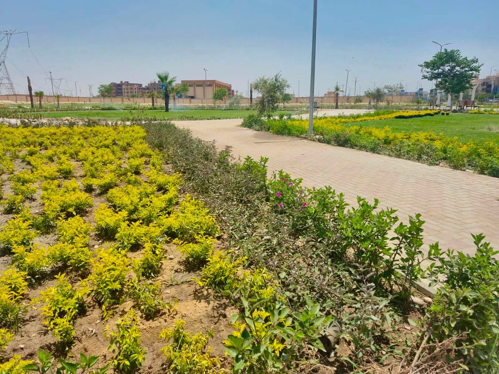 مساحات خضراء كبيرة