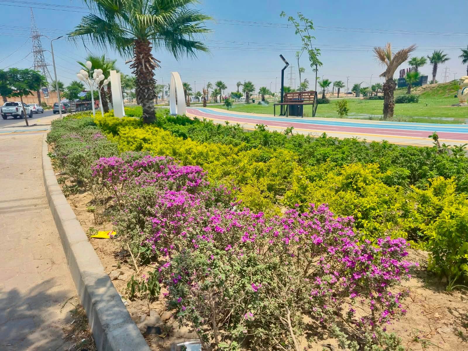 جمال المساحات الخضراء