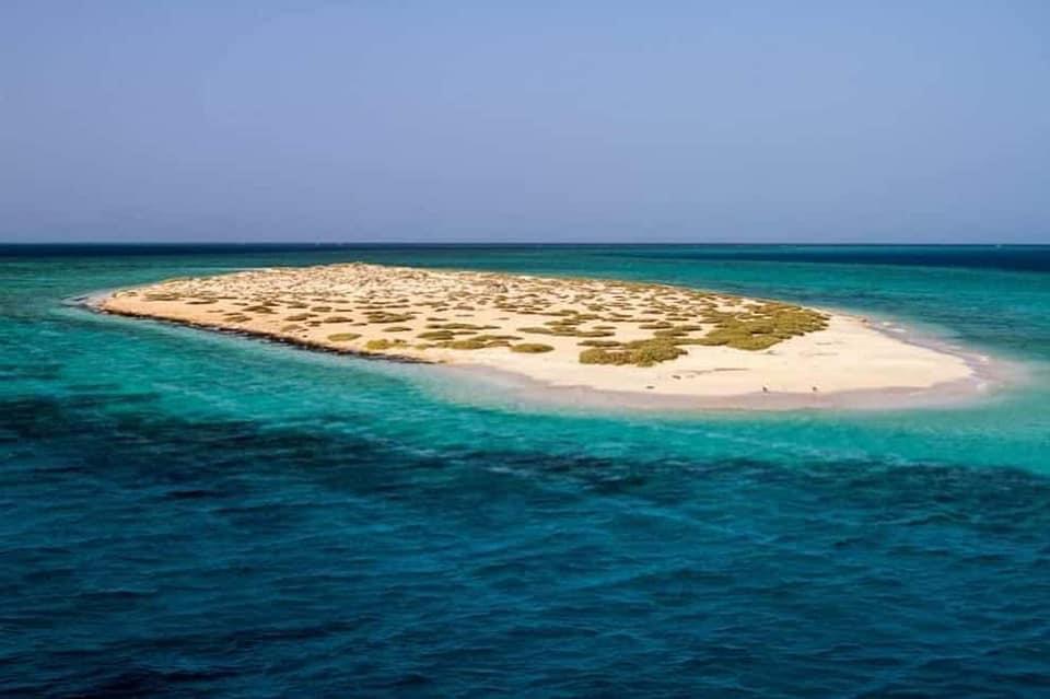 شواريت،جنوب البحر الأحمر،