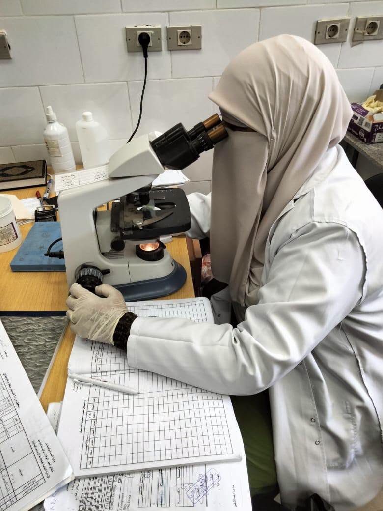 اجراء التحاليل الطبية