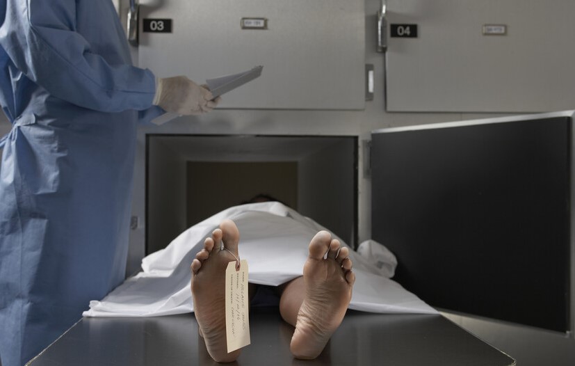 استخدام جلد الجثث في العلاجات التجميلية بكوريا استخدام جلد الجثث في العلاجات التجميلية بكوريا