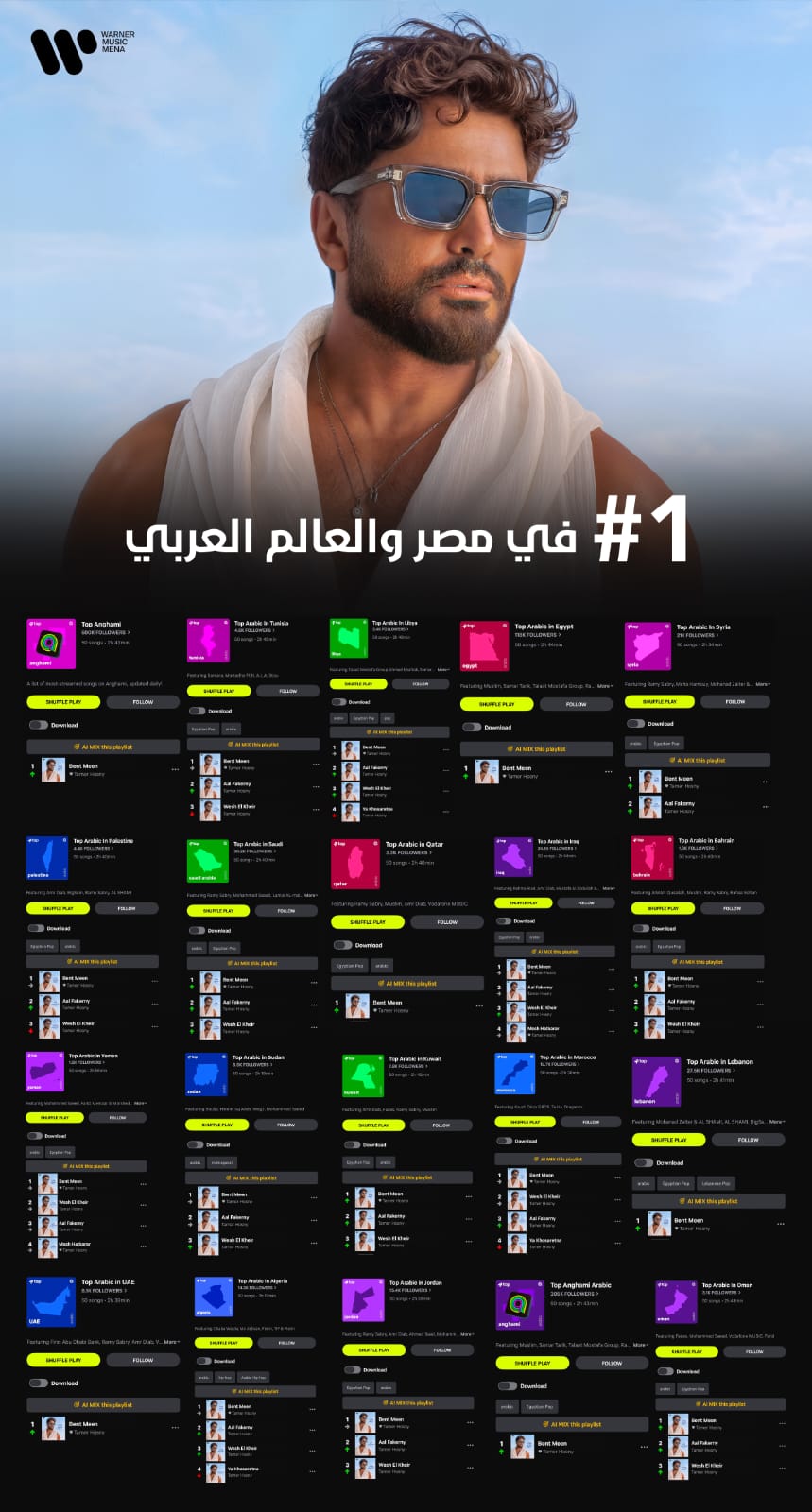 تامر حسنى