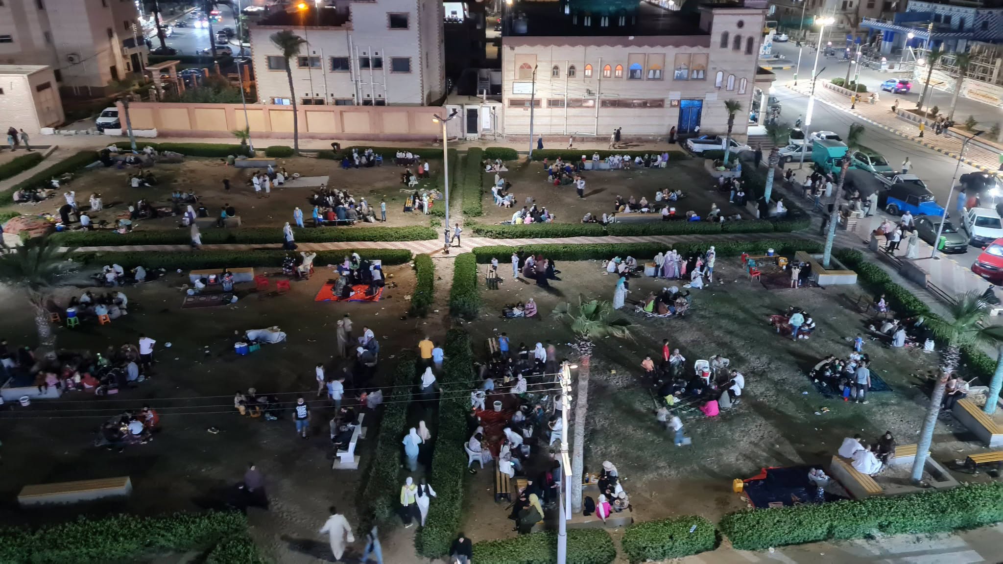 افتراش النجيل بمصيف بلطيم