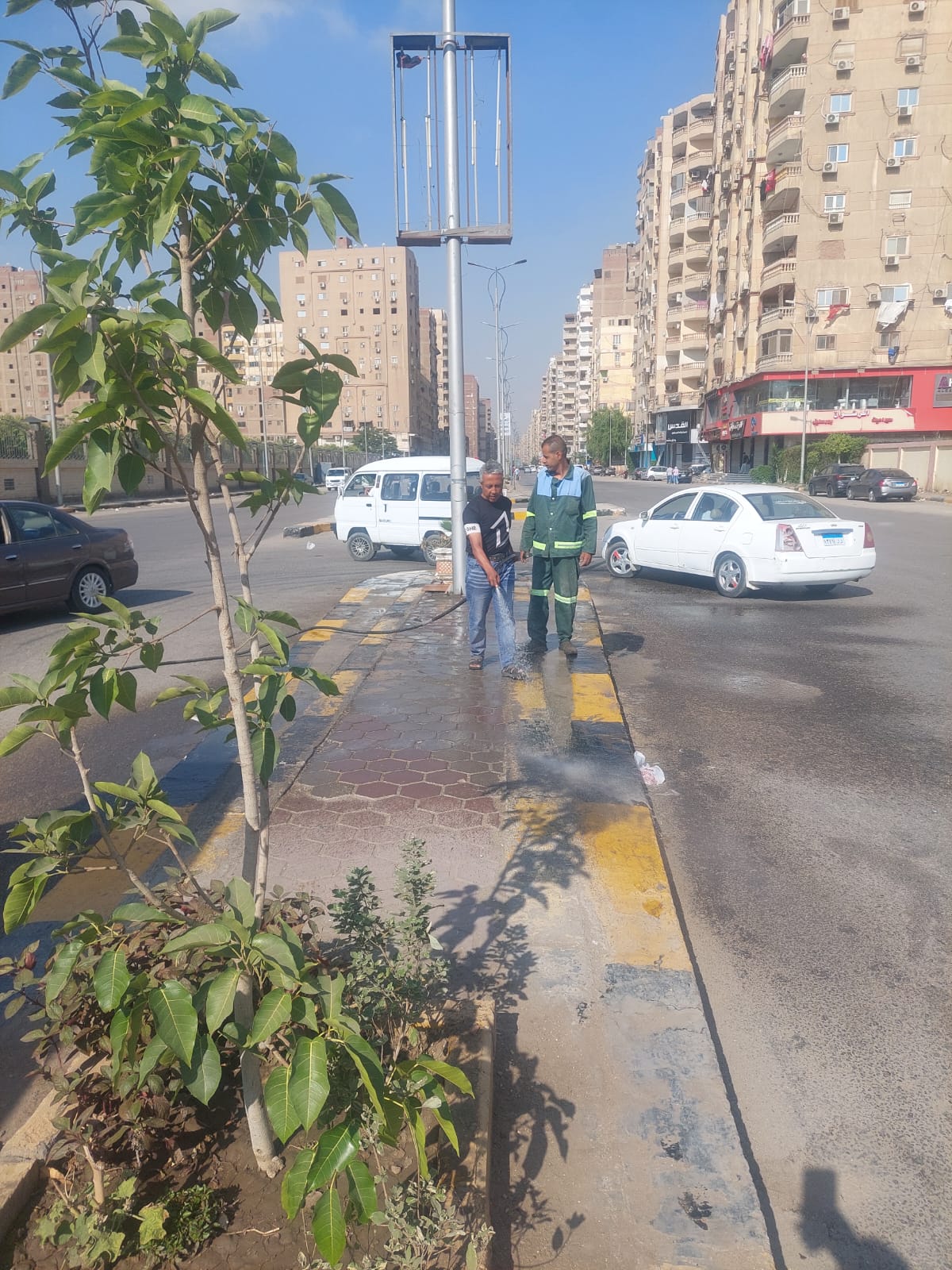رفع مستوى النظافة بشارع ترسا (2)