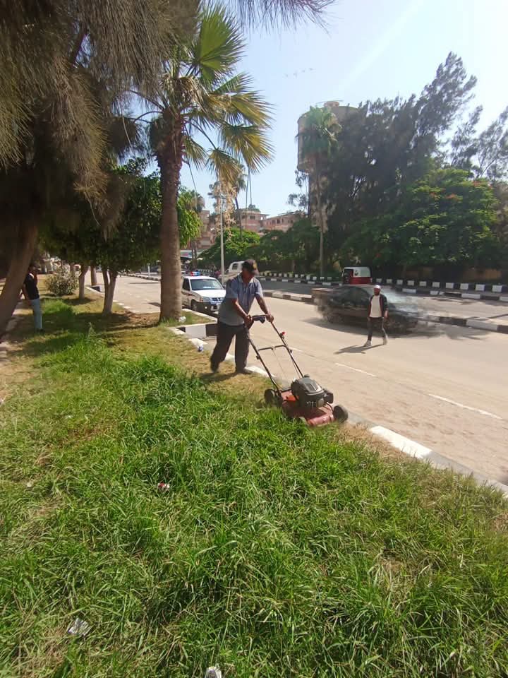 خطة التطوير بجمصة خطة التطوير بجمصة