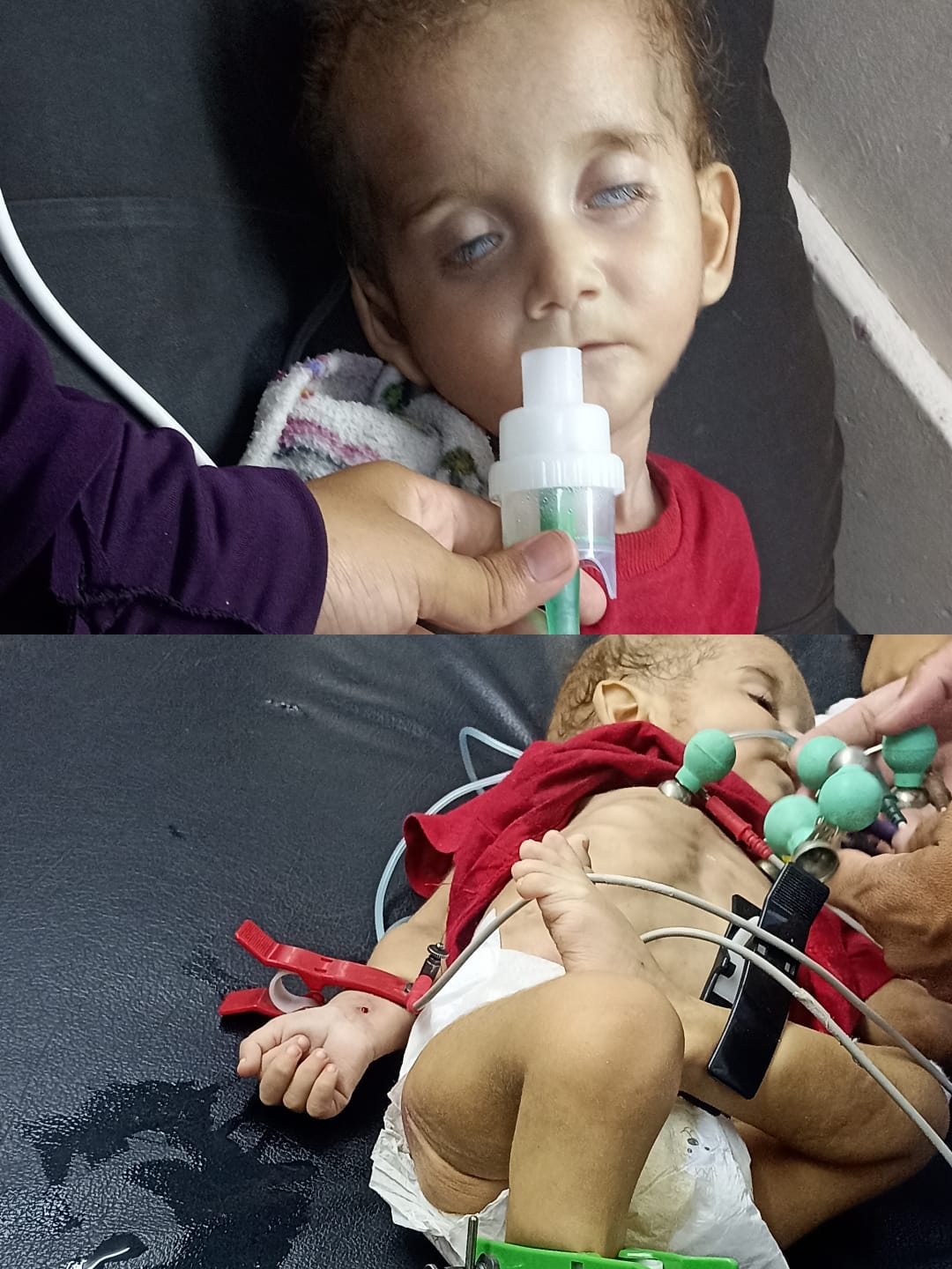 محمد المصرى محمد المصرى