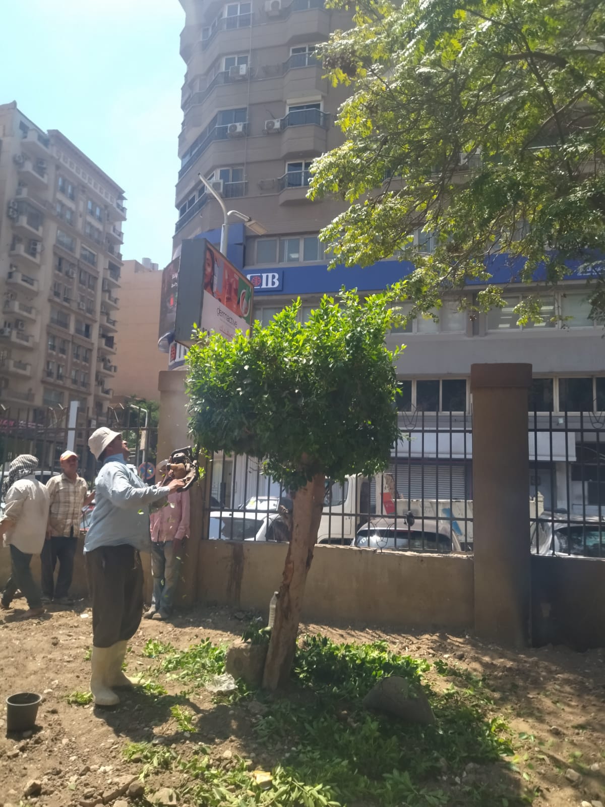 أعمال نظافة وتشجير لرفع كفاءة المظهر الحضارى بحى الدقى (3)