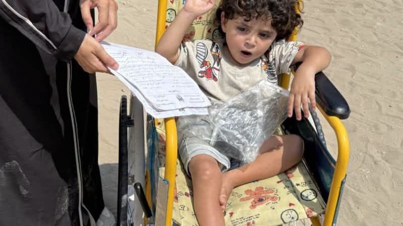 محمد أبو عجوة محمد أبو عجوة