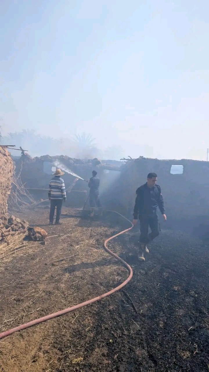 حرائق النخيل تدمر اهم محصولاستراتيجي بالوادي الجديد