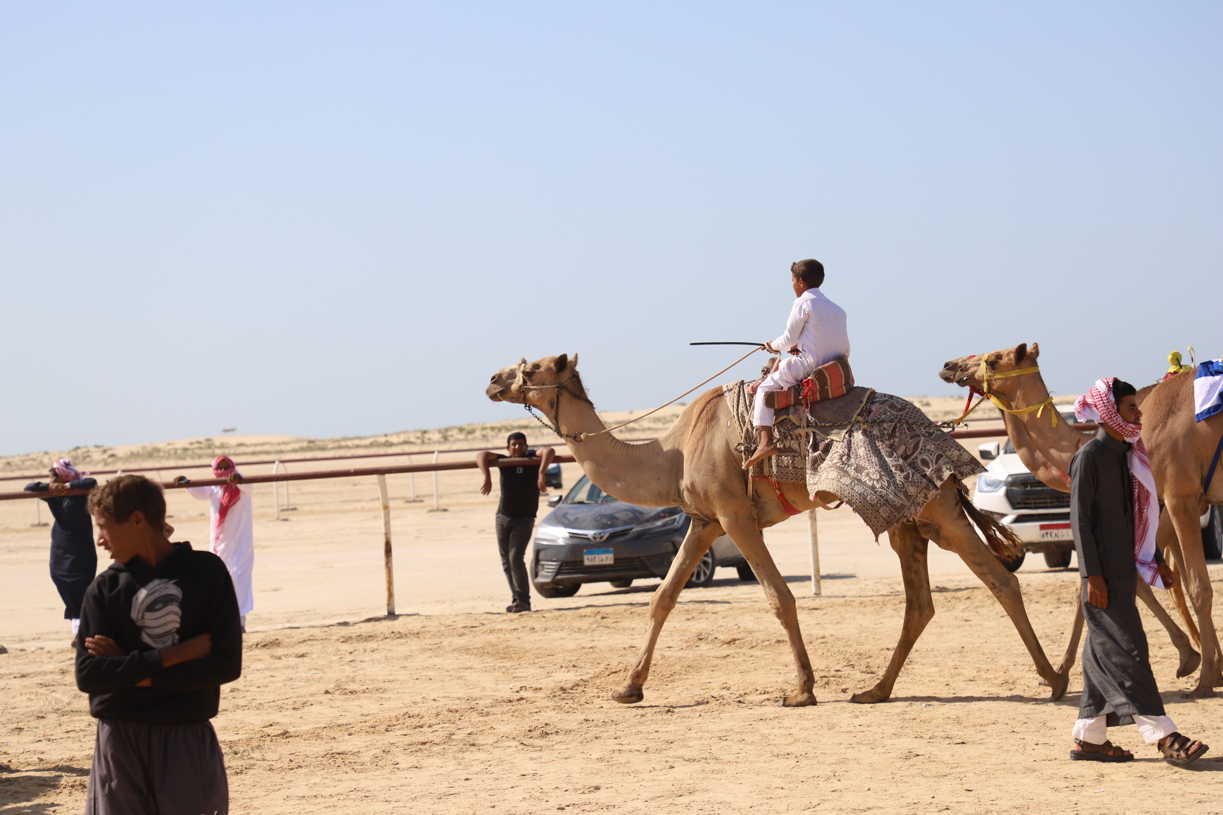 سباق الهجن _1