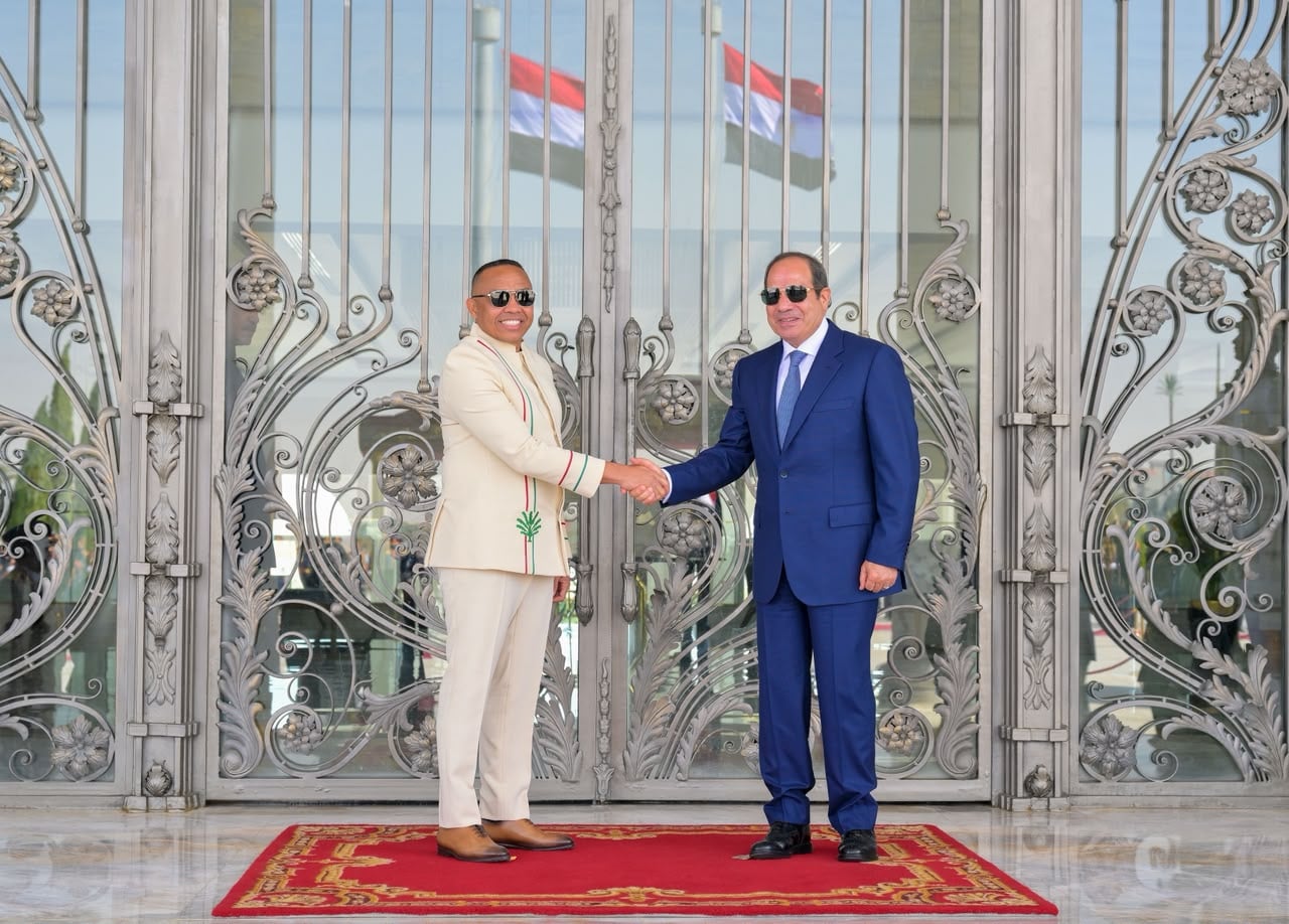 الرئيس السيسي ورئيس مدغشقر الرئيس السيسي ورئيس مدغشقر