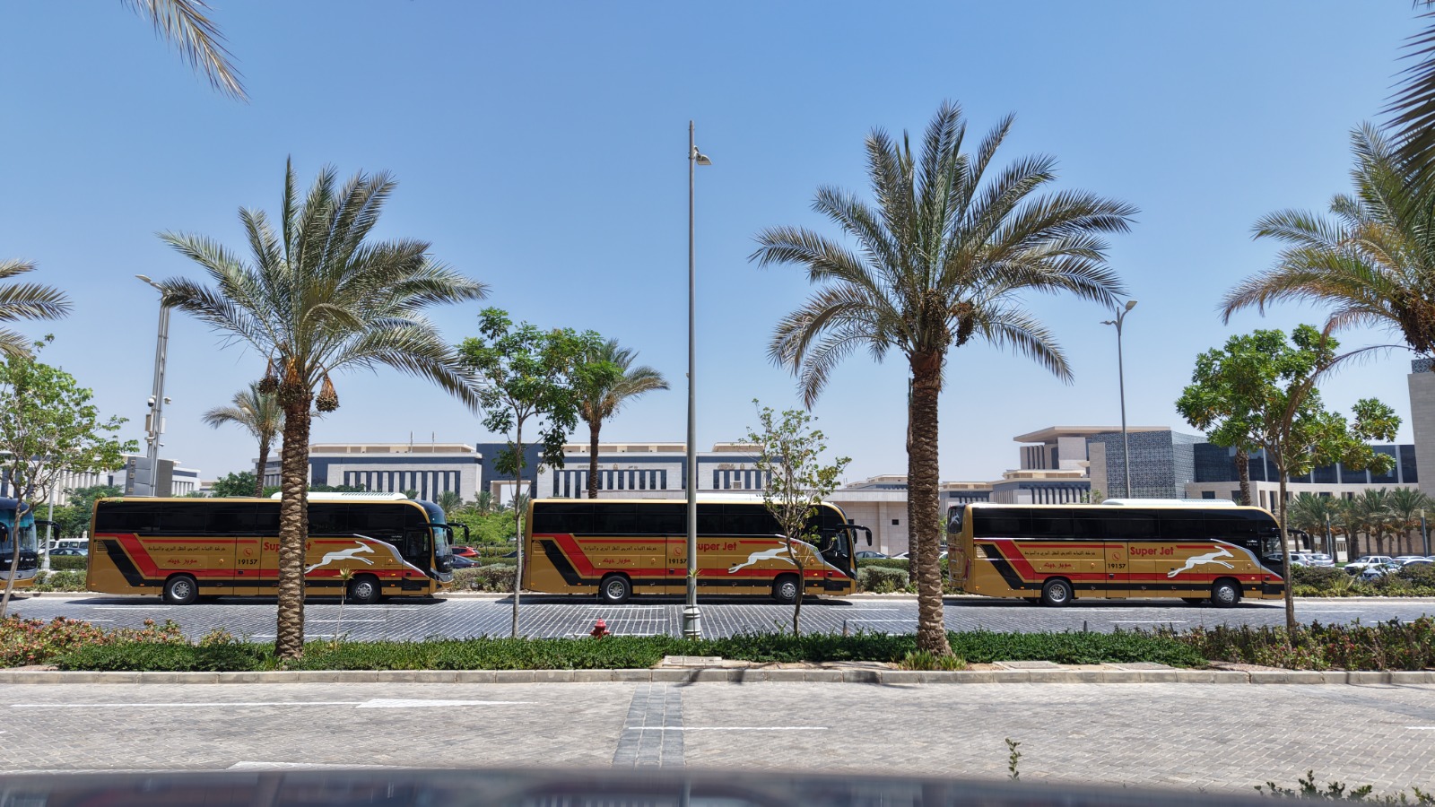 الاتوبيسات بالعاصمة الاتوبيسات بالعاصمة