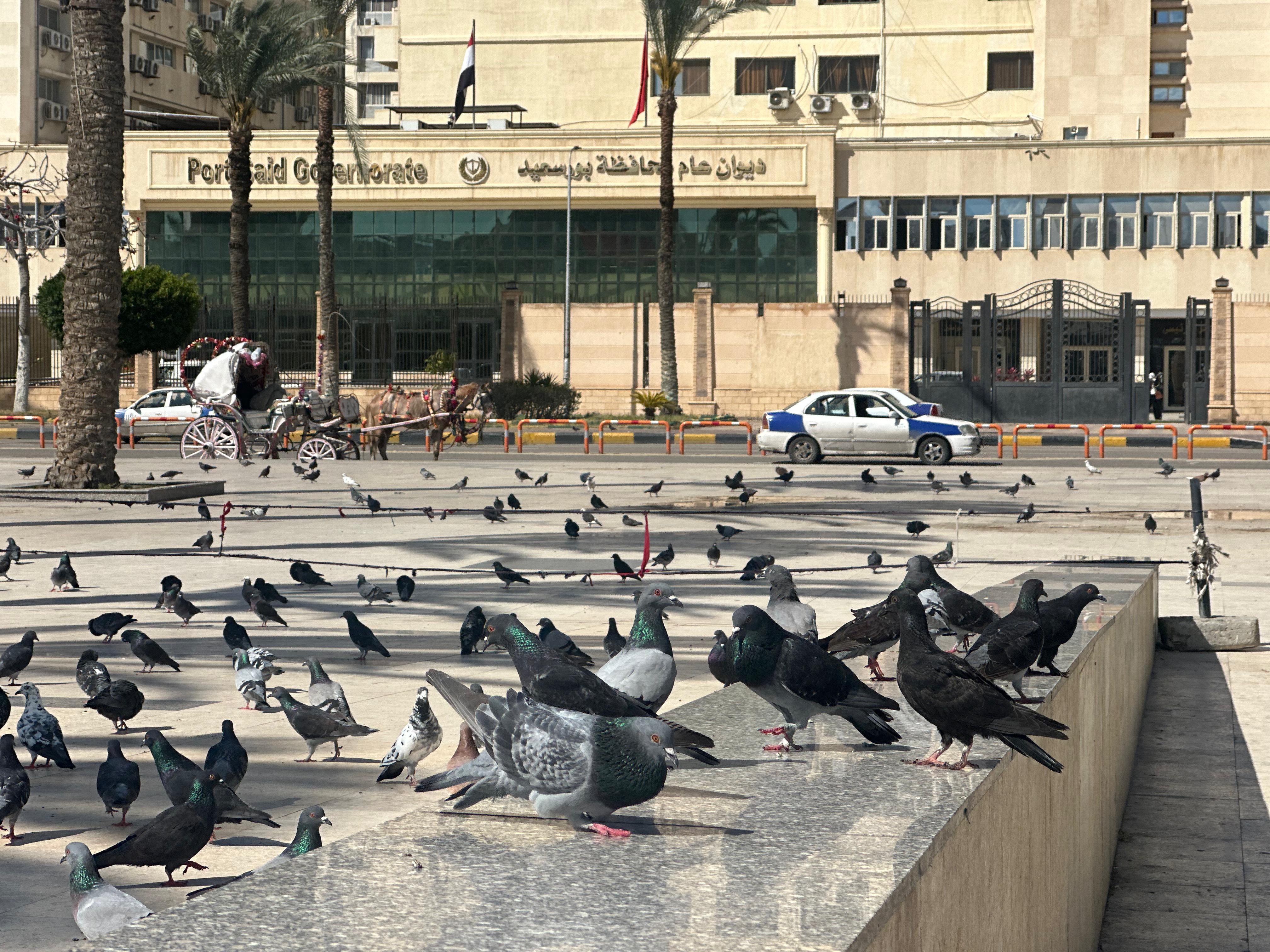 ساحة الحمام ببورسعيد