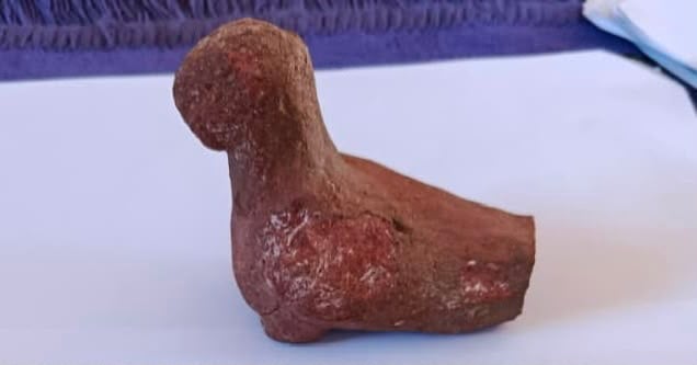 اكتشافات أثرية بواحة الداخلة (12)