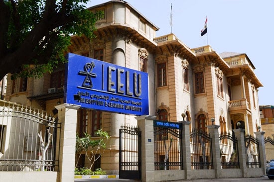 الجامعة المصرية للتعلم الإلكتروني الأهلية (2)