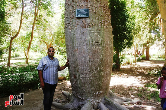 مدير-الحديقة-النباتية