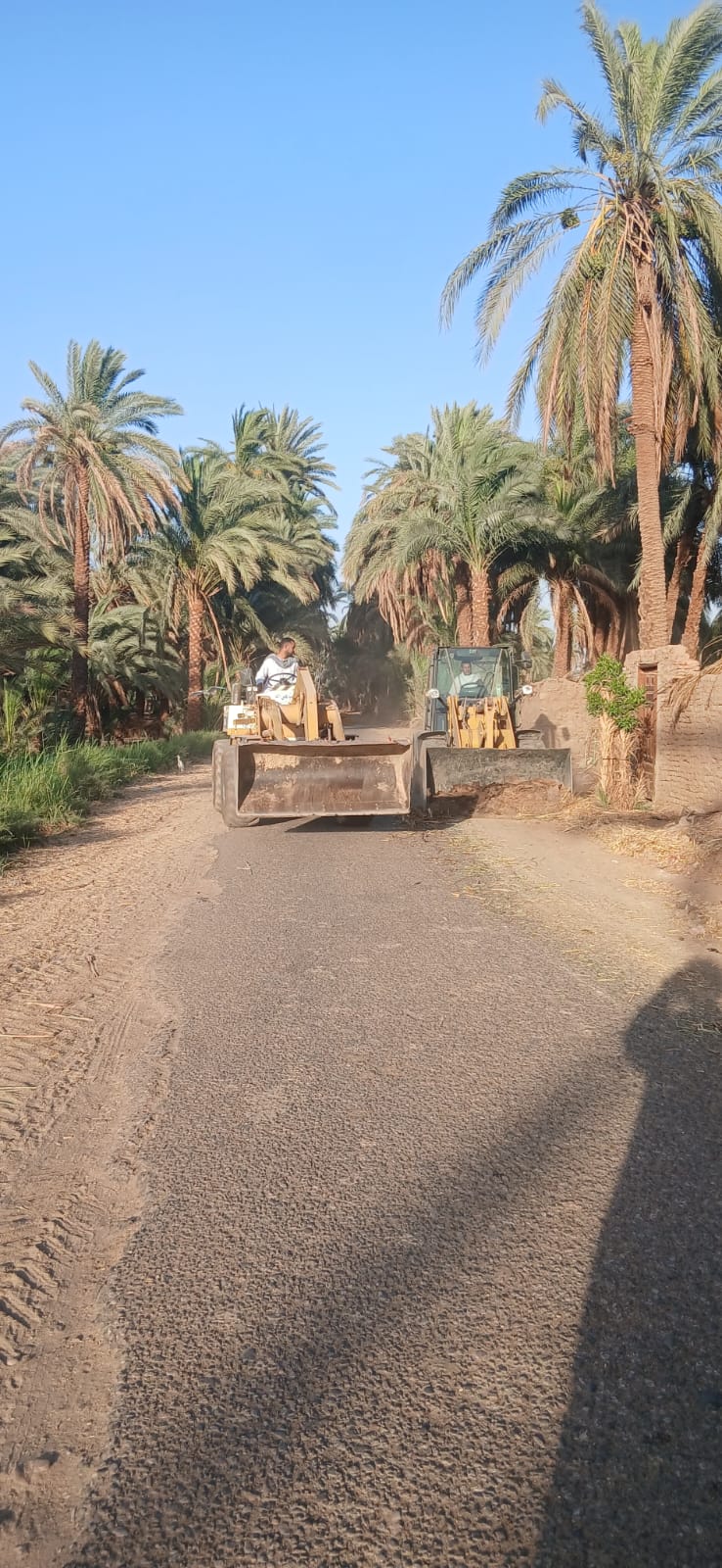 طريق حيوي يجري صيانته طريق حيوي يجري صيانته