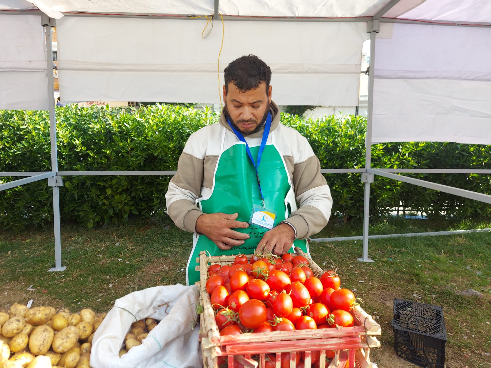 بيع الخضروات