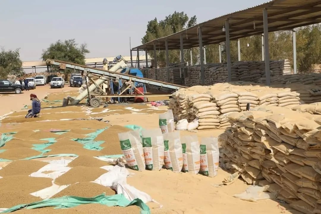 أثناء العمل فى المشروع