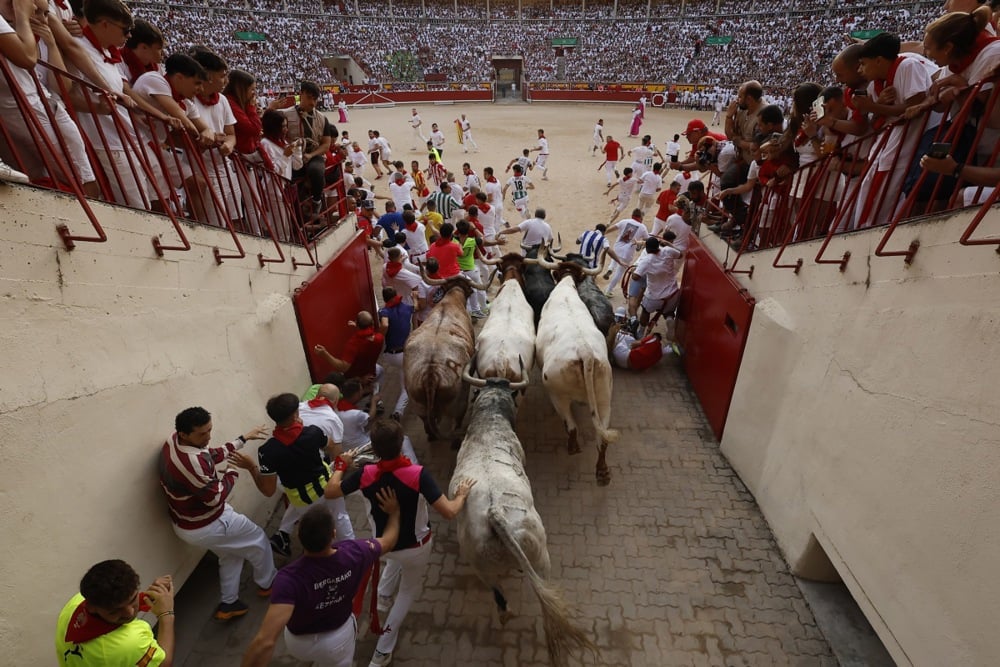 مصارعة الثيران (4)