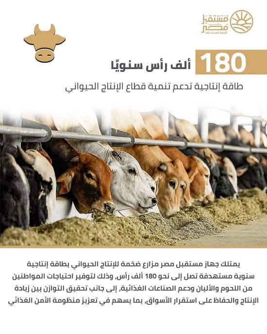 قطاع الإنتاج الحيواني