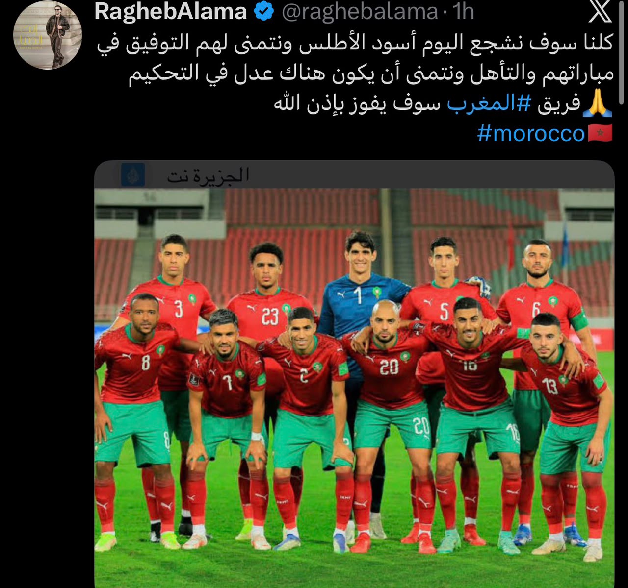 راغب علامه راغب علامه
