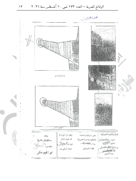 القرار بالجريدة الرسمية (1)