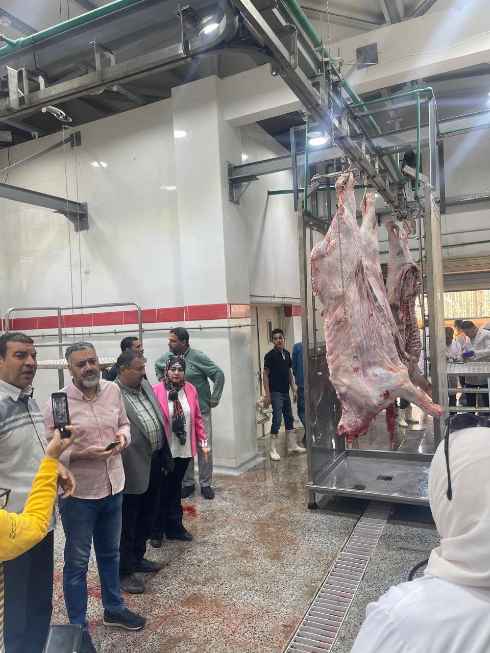 مجزر ديرب نجم بمحافظة الشرقية