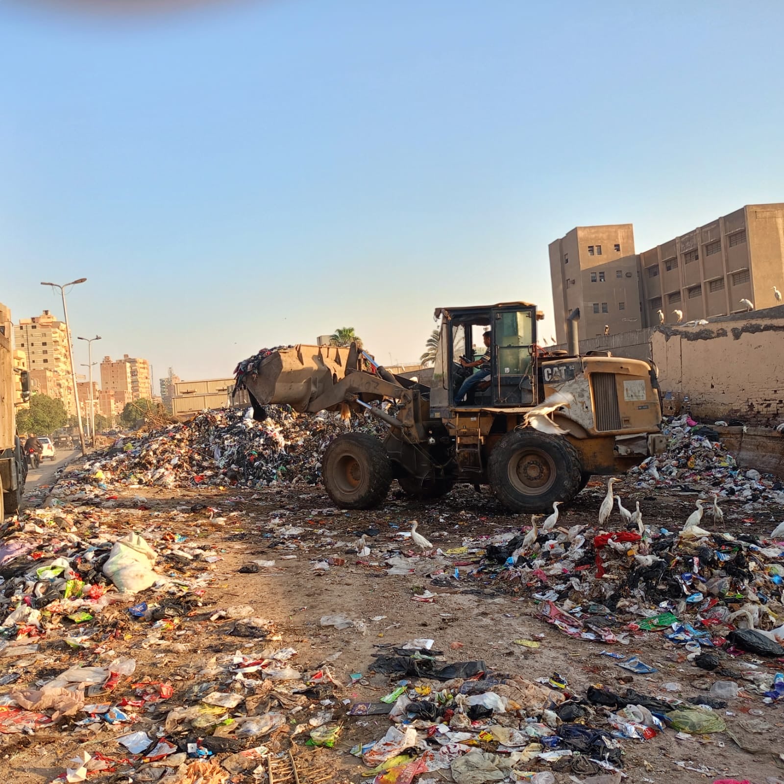 الهيئة العامة للنظافة والتجميل بالجيزة (1)