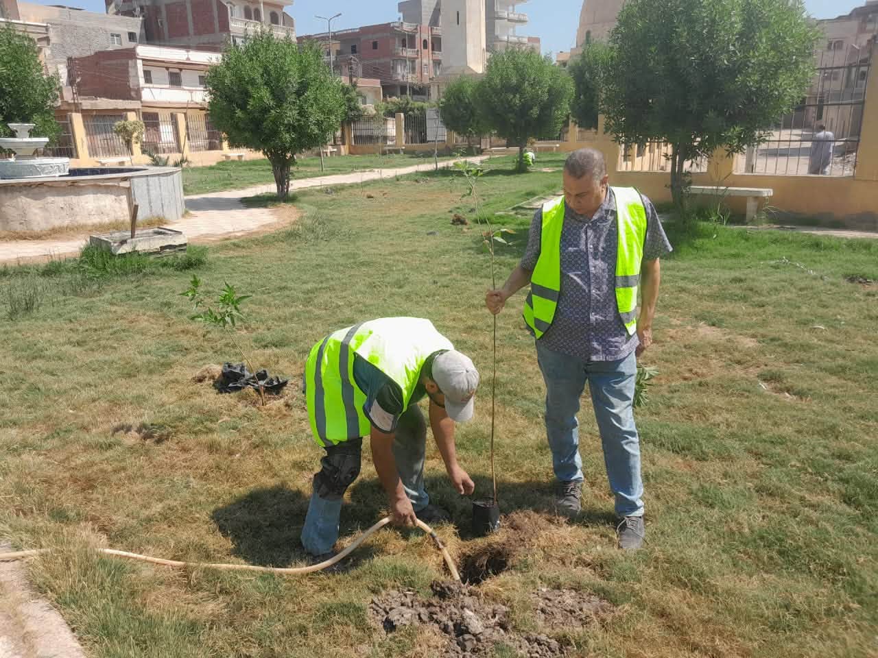 زراعة الأشجار بسيدي غازي زراعة الأشجار بسيدي غازي