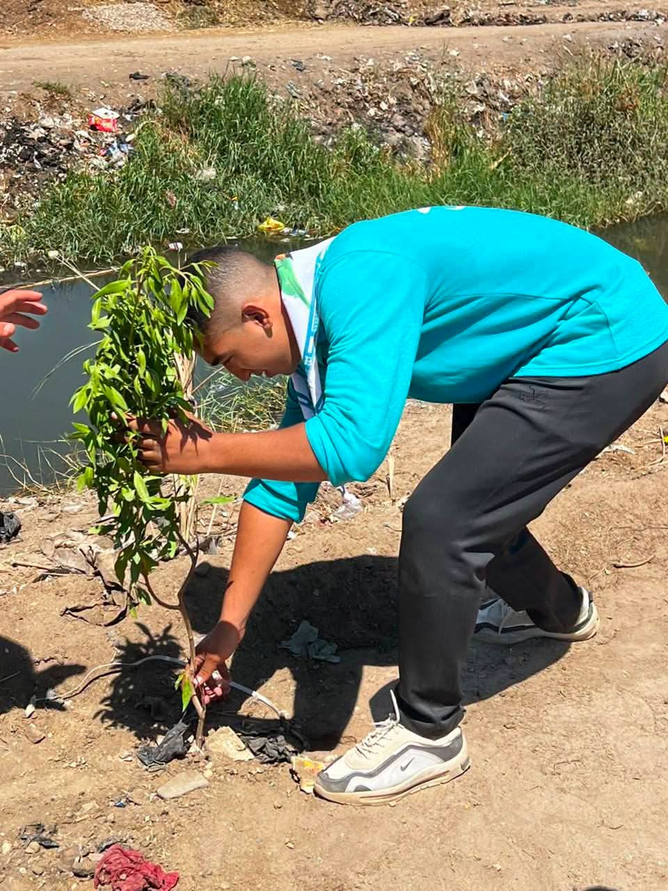 تشجير المدينة تشجير المدينة