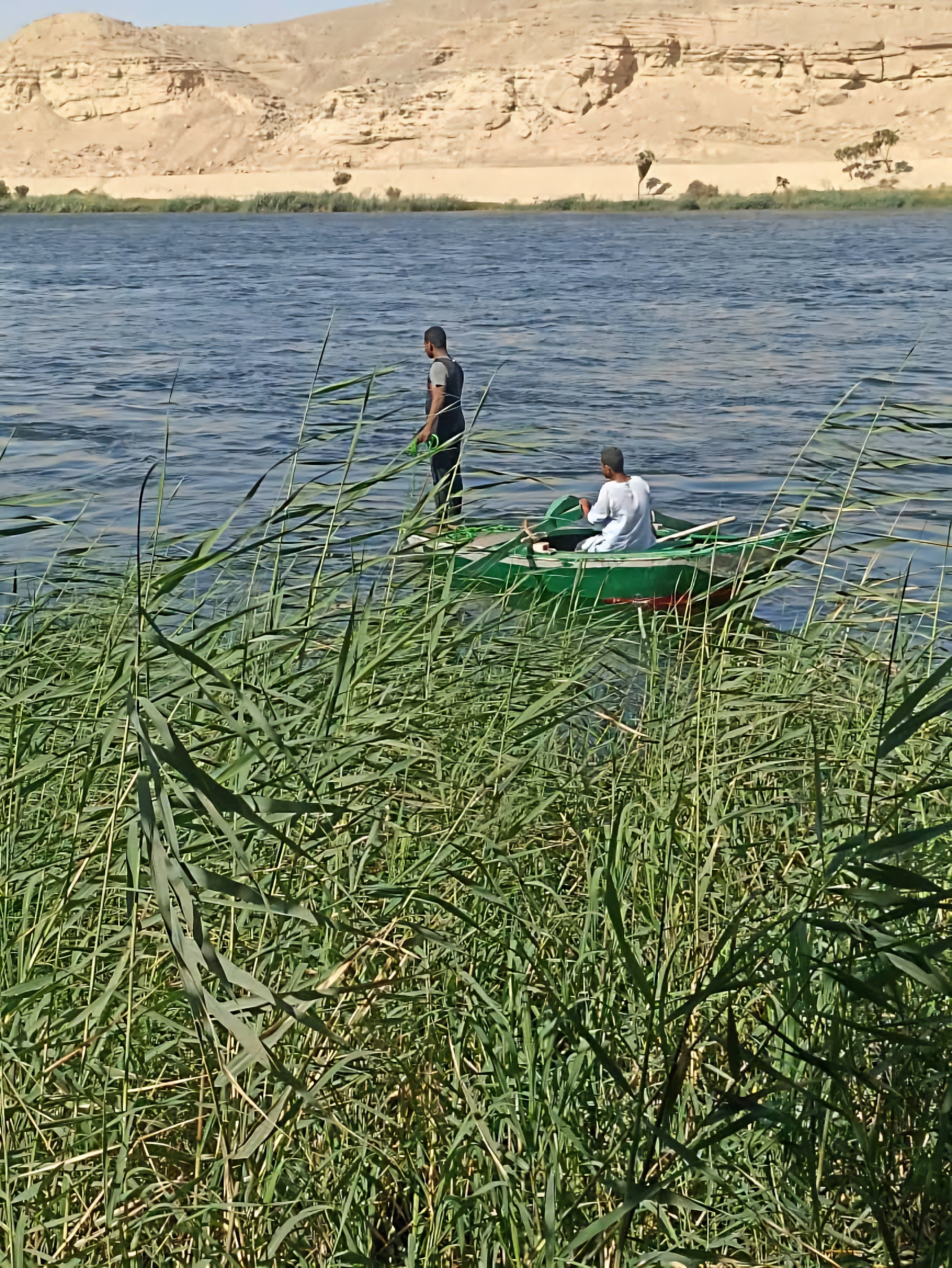 جانب من البحث عن الأطفال