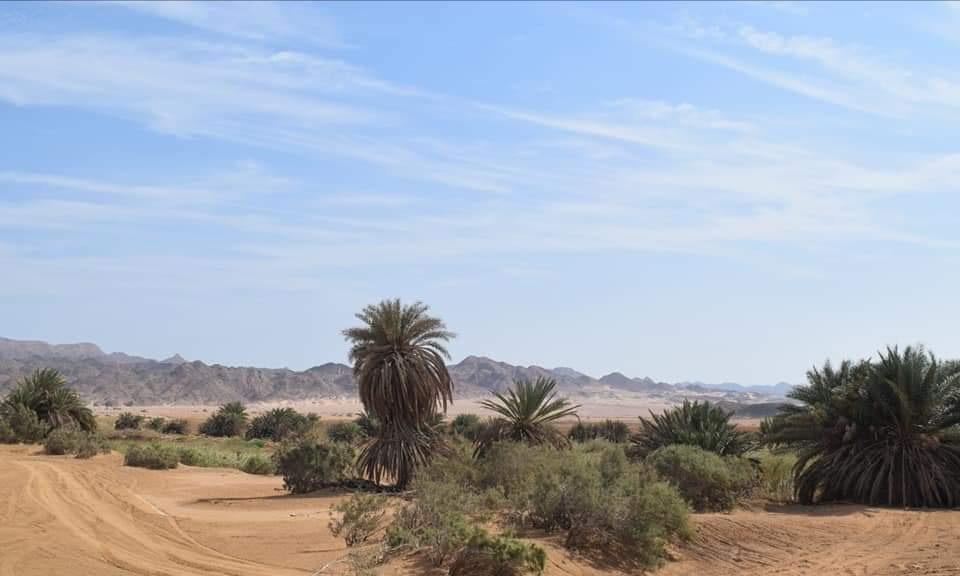 وادى مليحه بالغردقة وادى مليحه بالغردقة