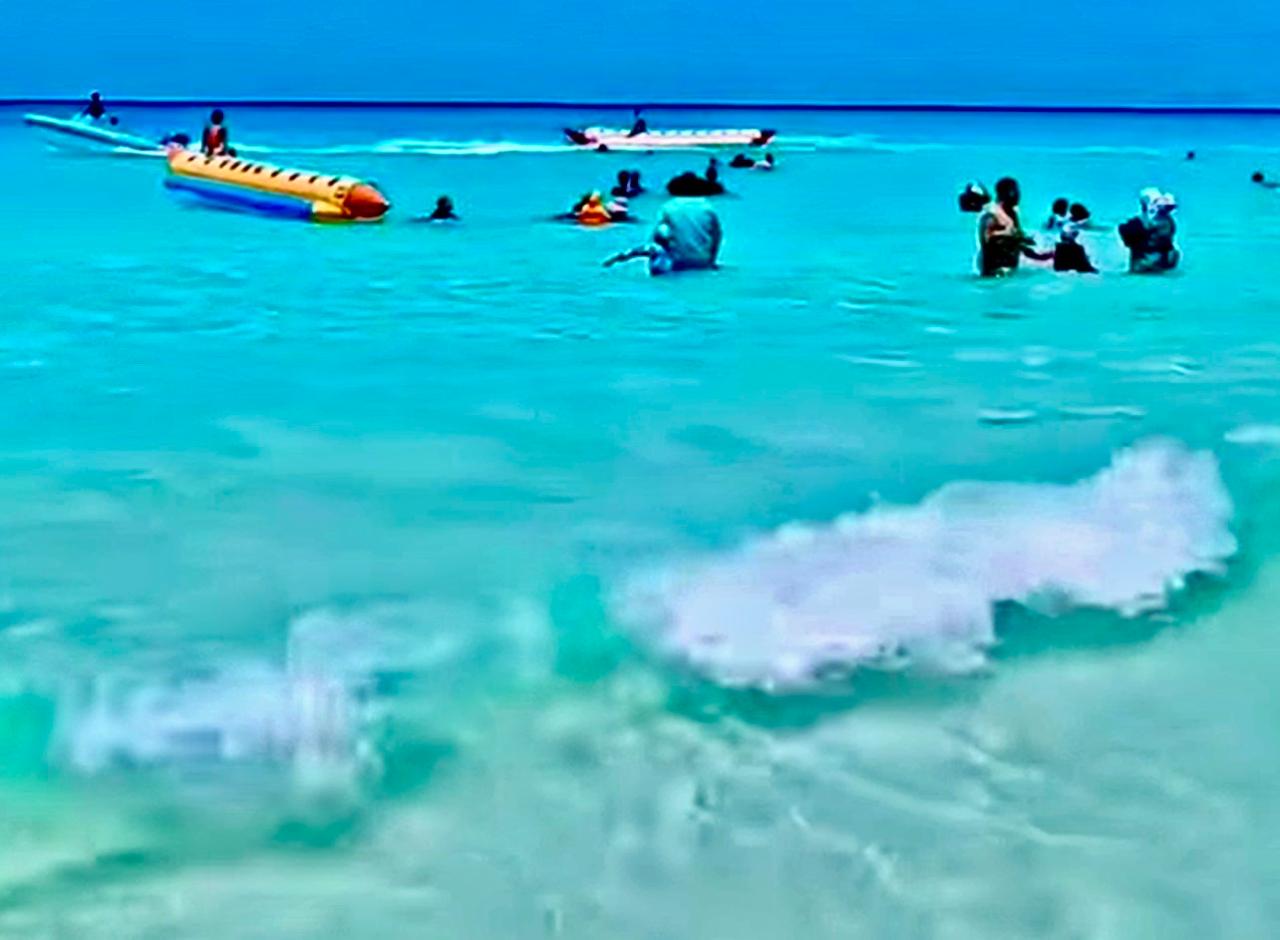 شواطئ مطروح (3)