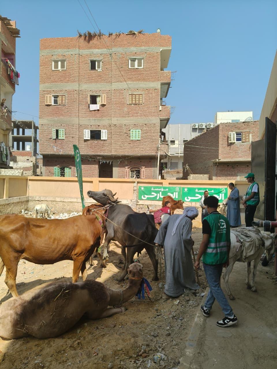 مؤسسة الجارحي للتنمية المجتمعية (6)
