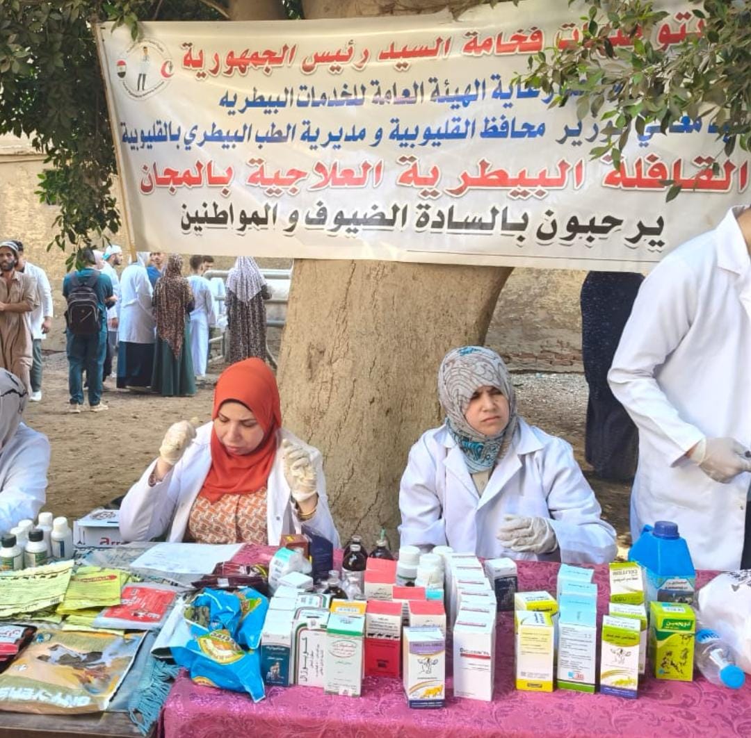 صرف الأدوية بالمجان صرف الأدوية بالمجان