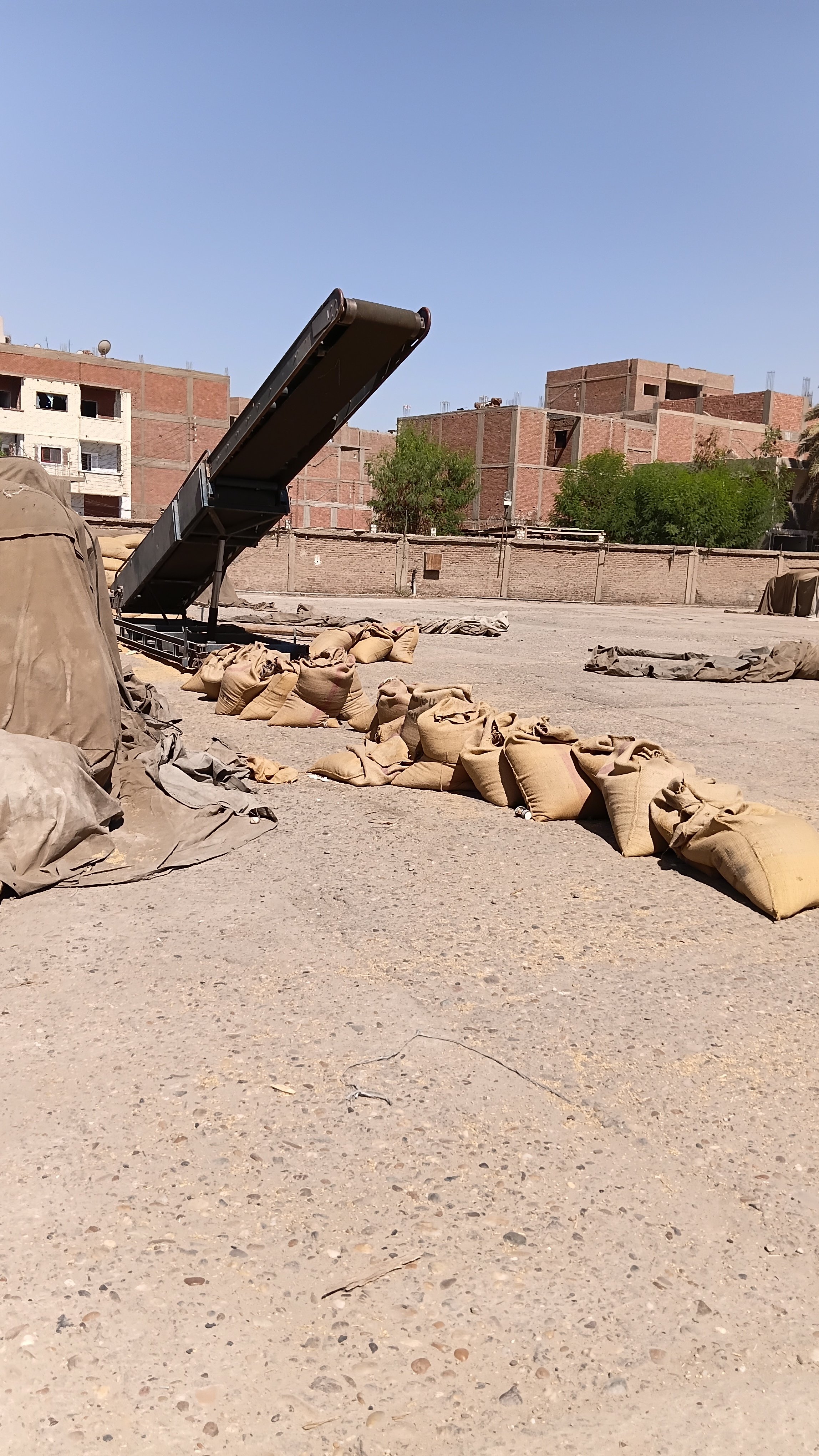 إستقبال القمح