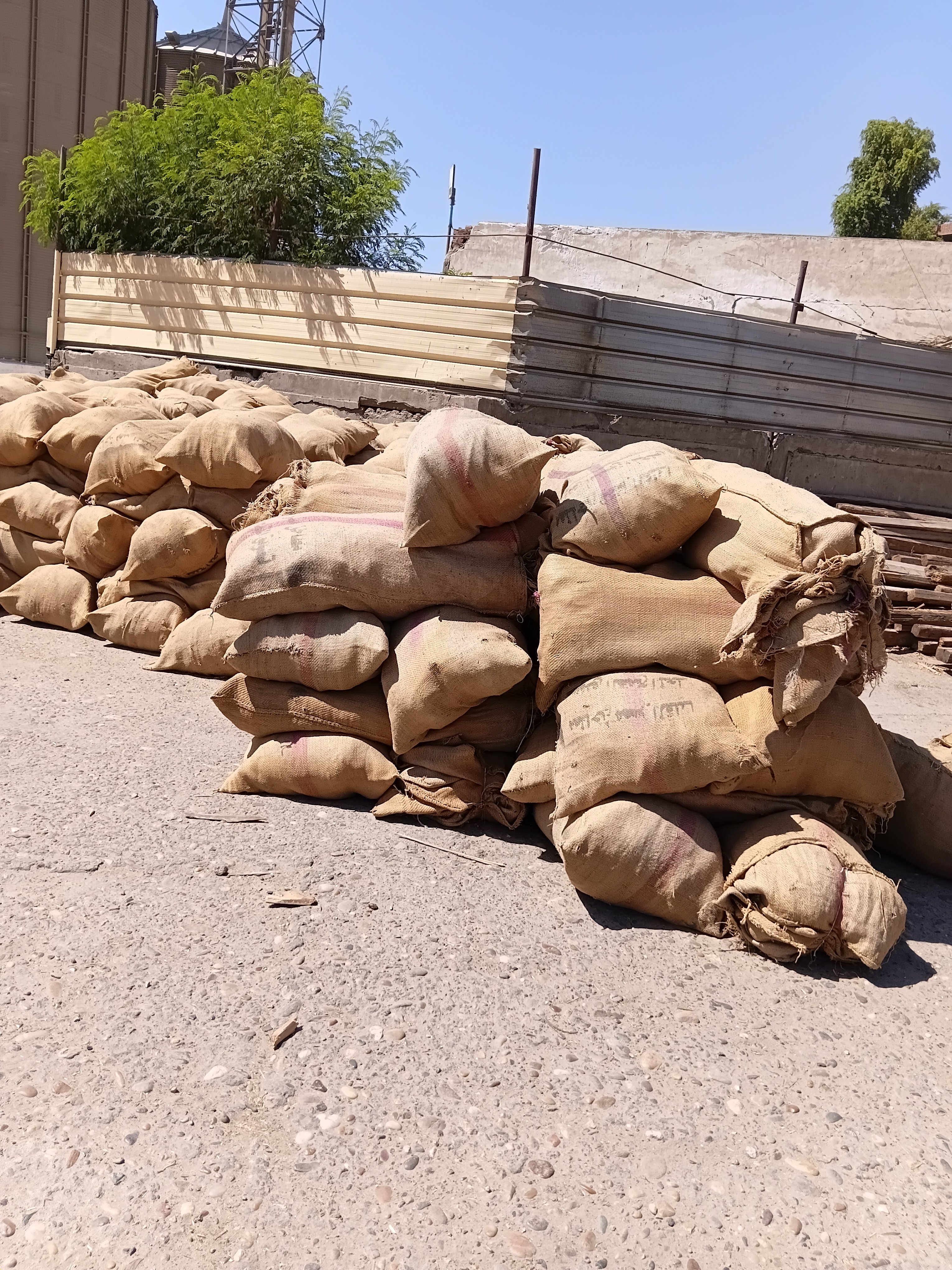 موسم الخير،