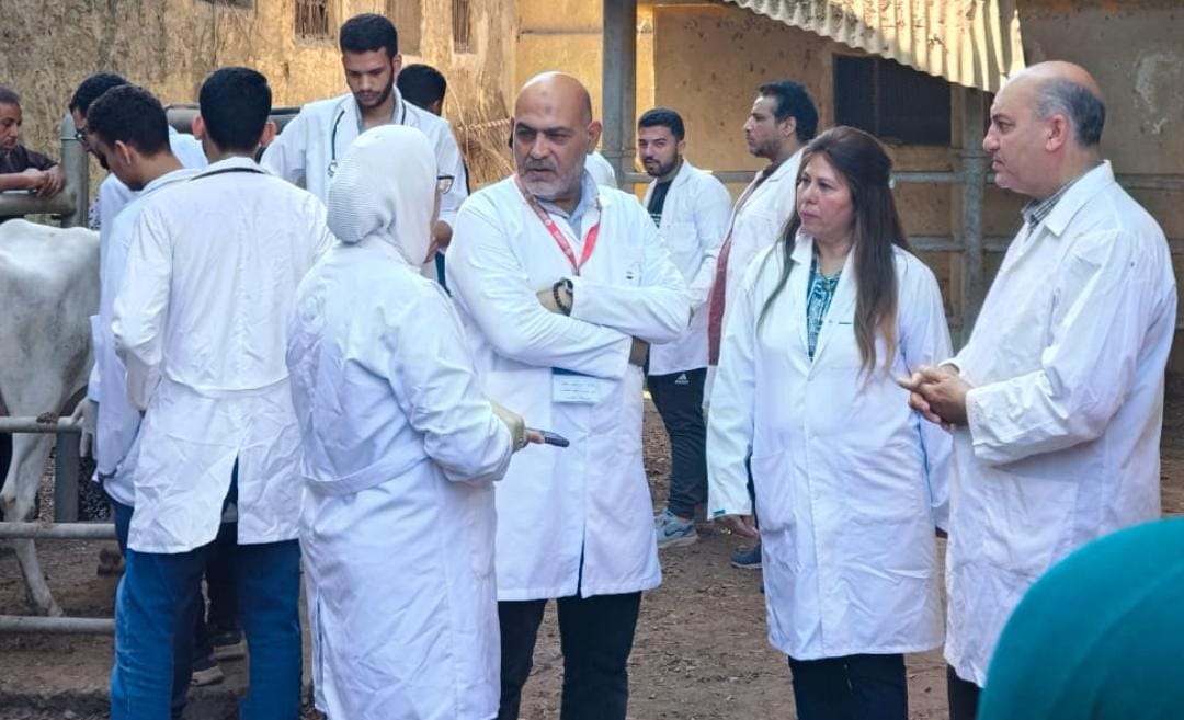 خلال العمل بالقافلة البيطرية خلال العمل بالقافلة البيطرية