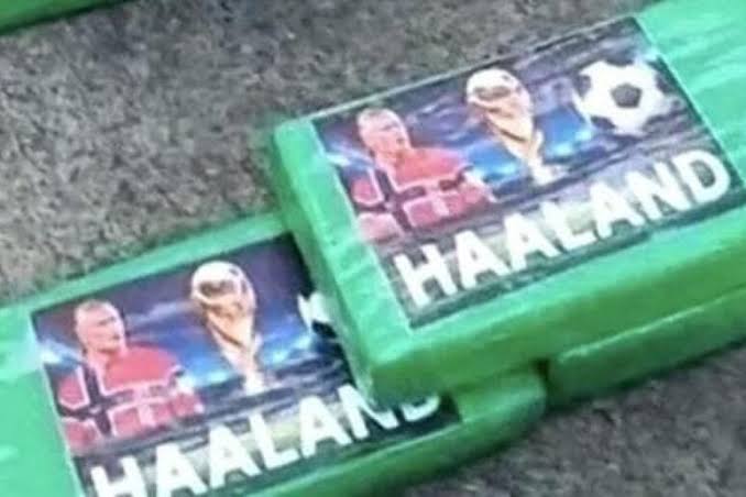 صورة هالاند صورة هالاند