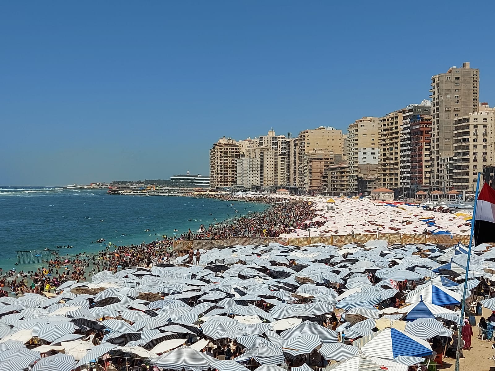 الشواطئ كامل العدد 