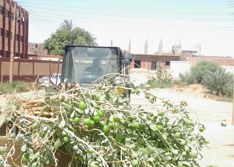 تنظيف المصفى الشبكى بمصرف النزاز بنصر النوبة تنظيف المصفى الشبكى بمصرف النزاز بنصر النوبة