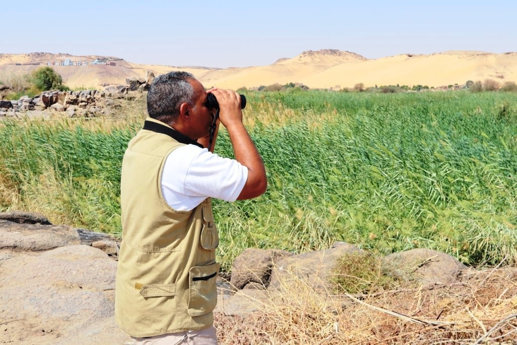 إسماعيل خليفة مراقب ومصور حياة برية