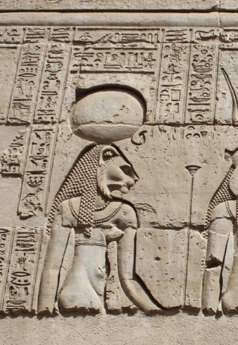جبر العظام المكسورة جبر العظام المكسورة