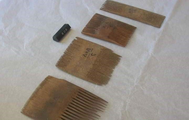 أمشاط مختلفة أمشاط مختلفة