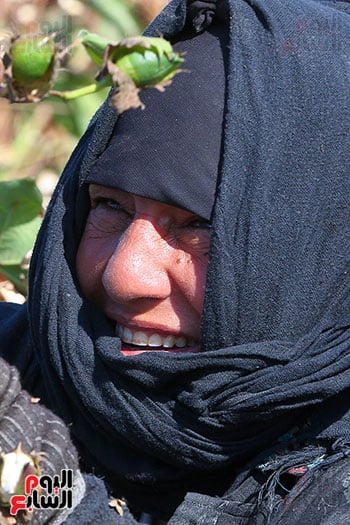 ملامح مصرية (4)