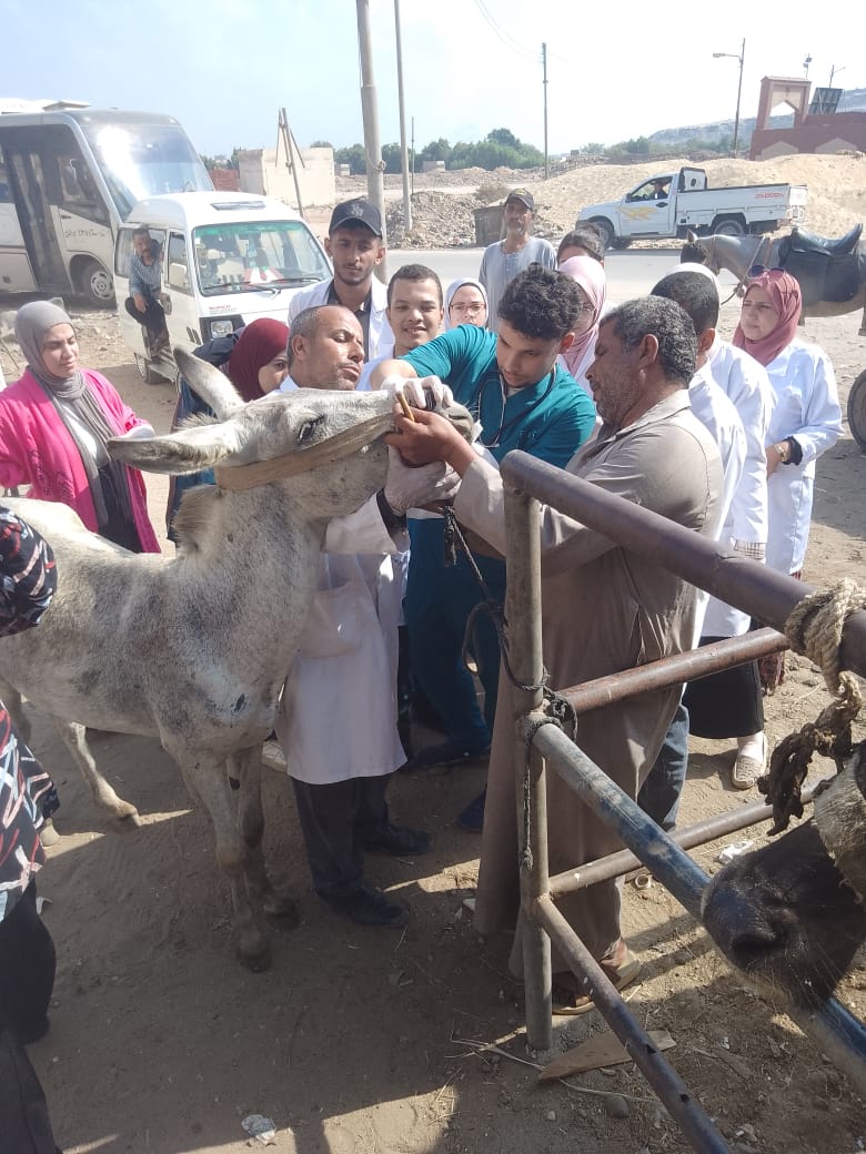فحص الحيوانات فحص الحيوانات