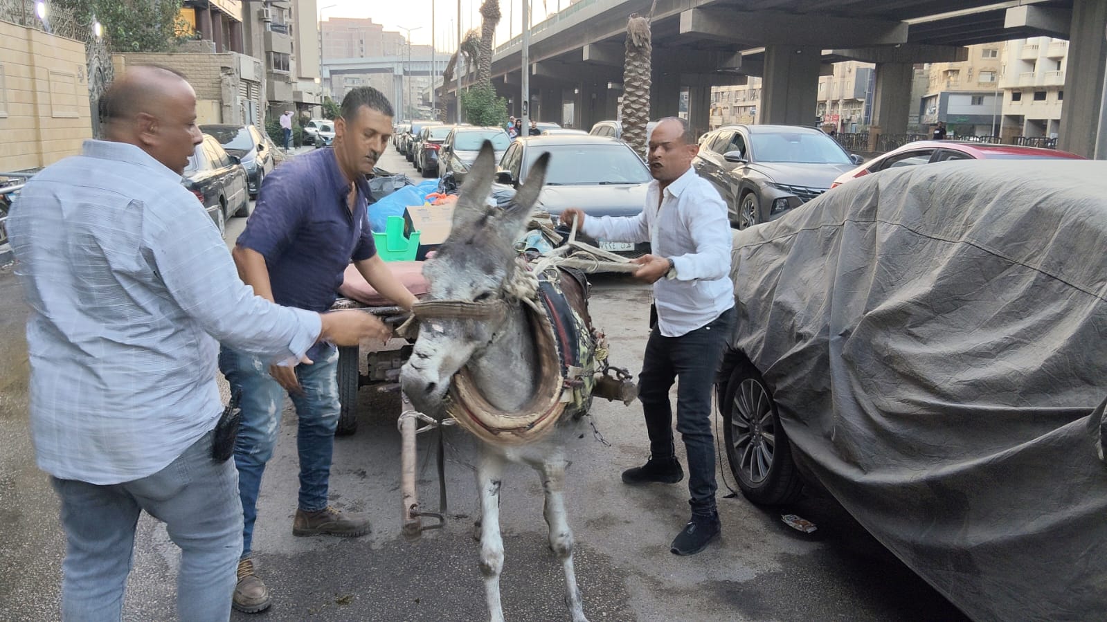 المضبوطات المضبوطات