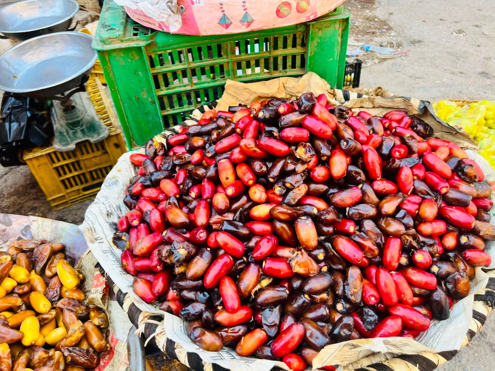 أنواع من البلح القناوي